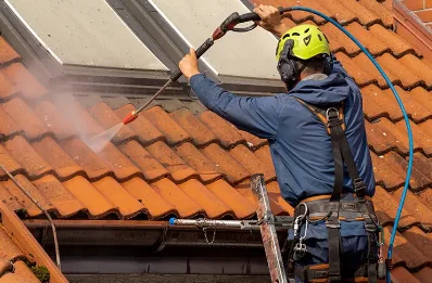 Démoussage et hydrofuge de toiture à Bogy